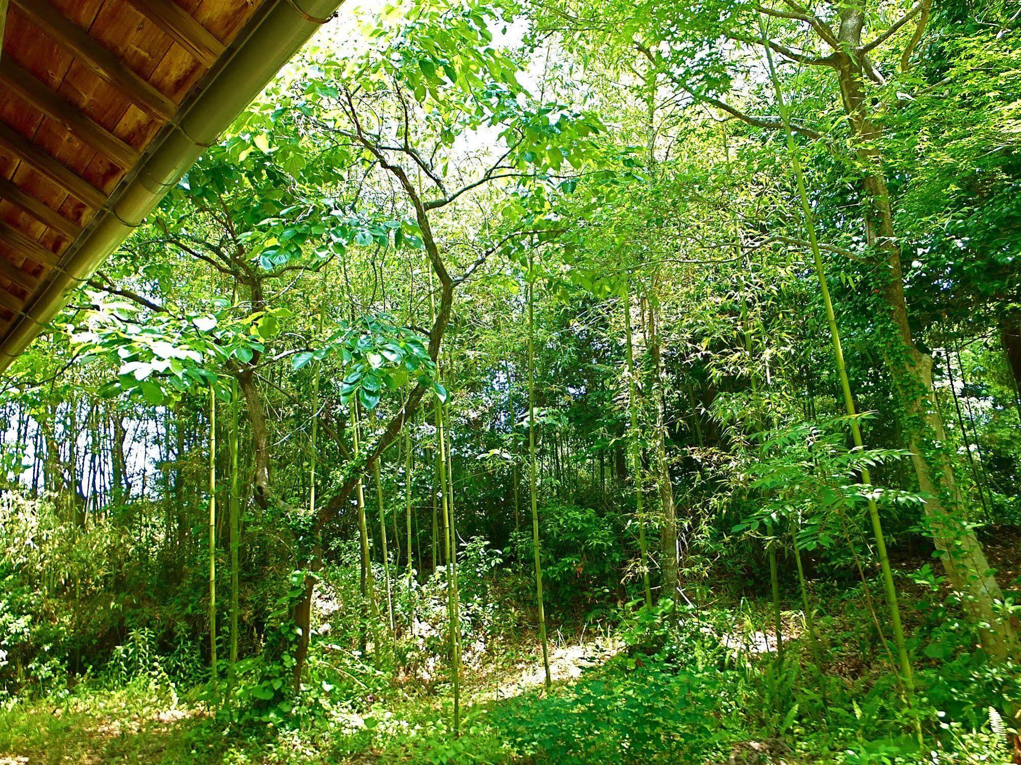 Kominka Sharehouse Hooju Miyazaki Exterior foto